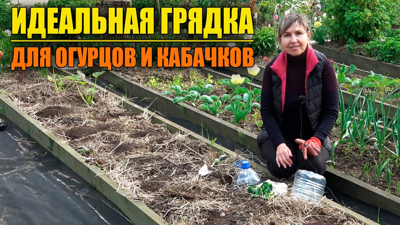 СУПЕР УРОЖАЙНАЯ ГРЯДКА ДЛЯ ОГУРЦОВ И КАБАЧКОВ ИЗ МУСОРА!