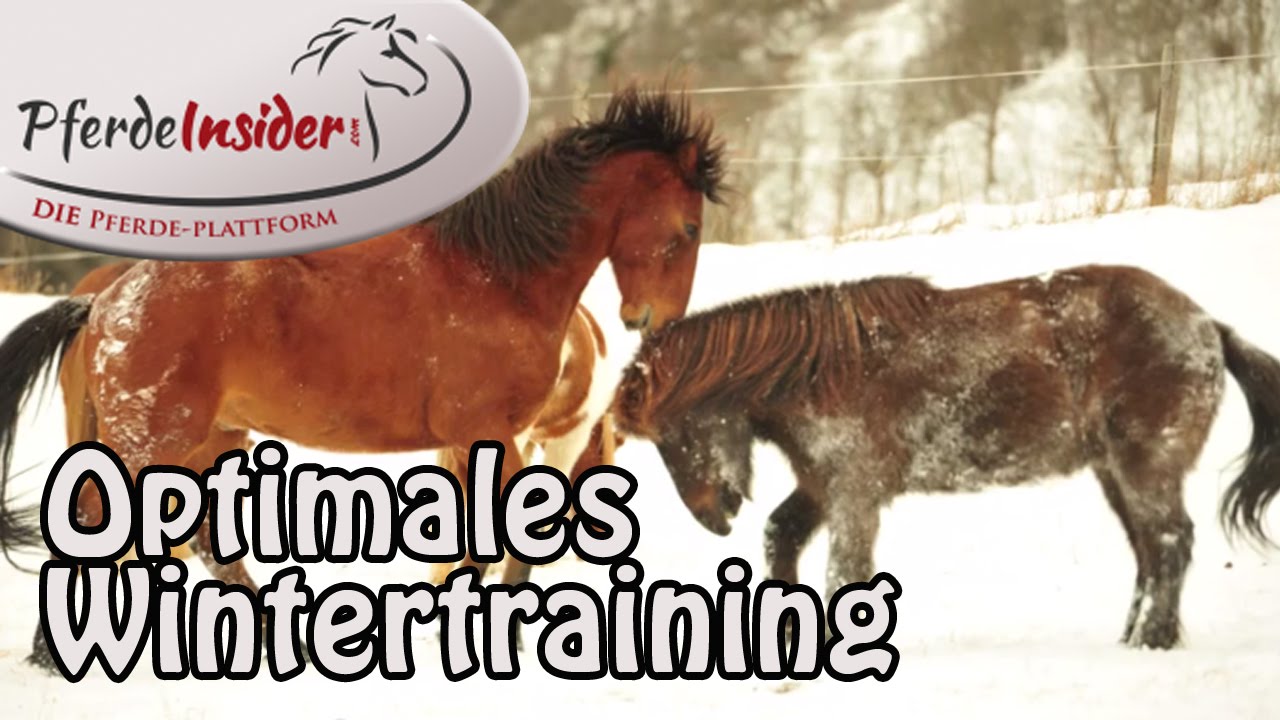 Winterzeit: So vermeidest Du Sehnen- und Muskelprobleme & Arthrose