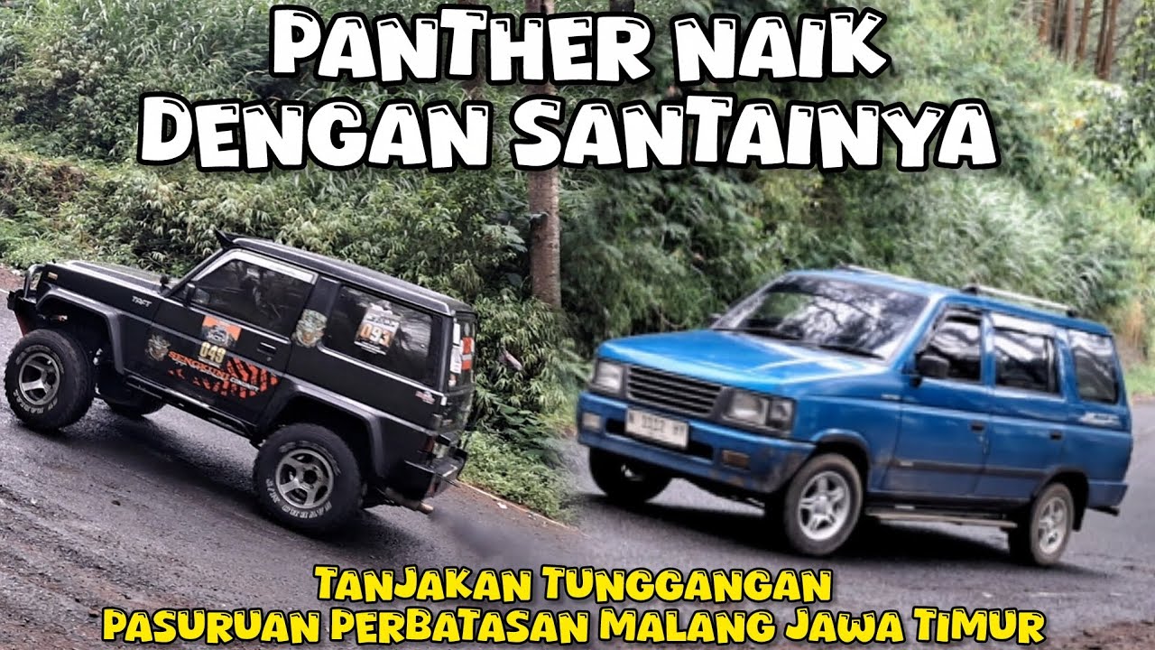 PANTHER NAIK DENGAN SANTAINYA DI TANJAKAN TUNGGANGAN 