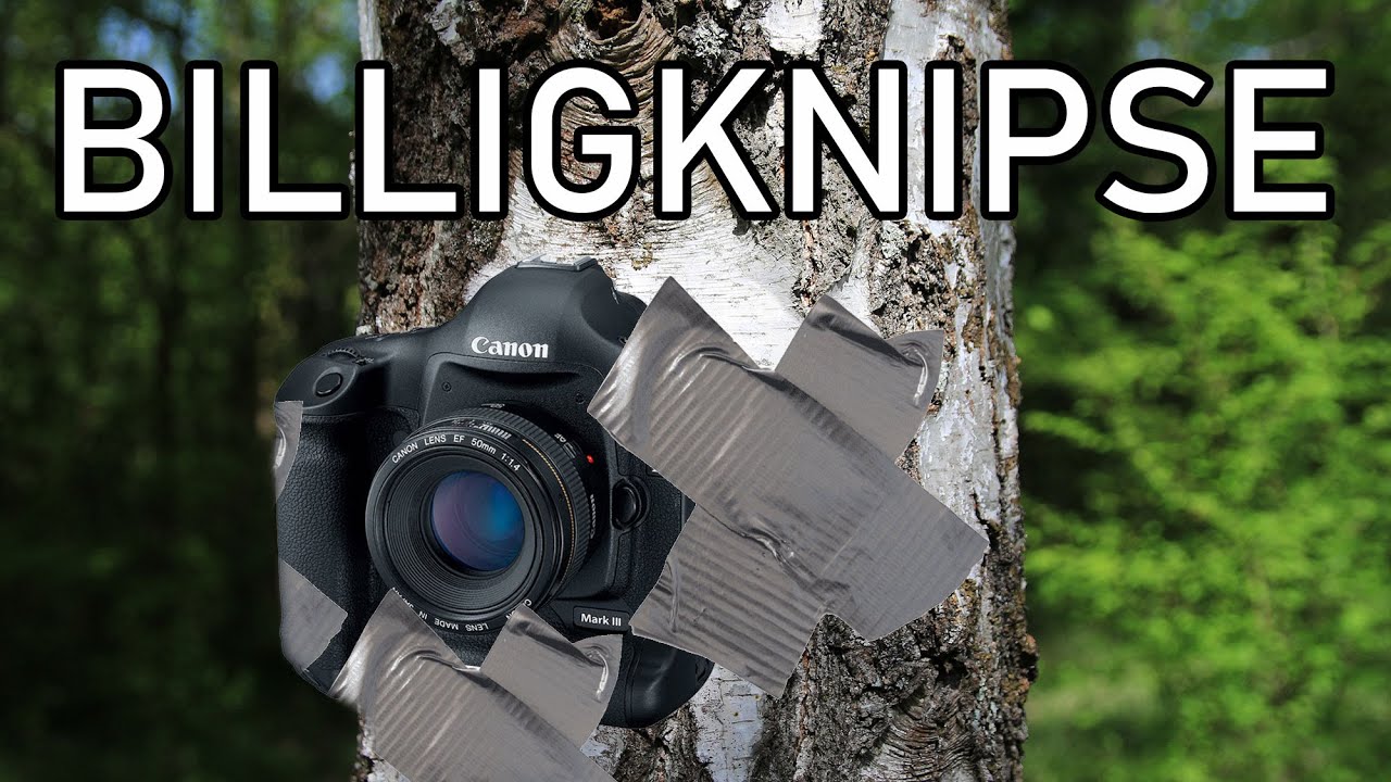 Wildkamera - Fotofalle f&uuml;r unter 50 Euro? Was sie kann - und was nicht - Gear Tech-Talk