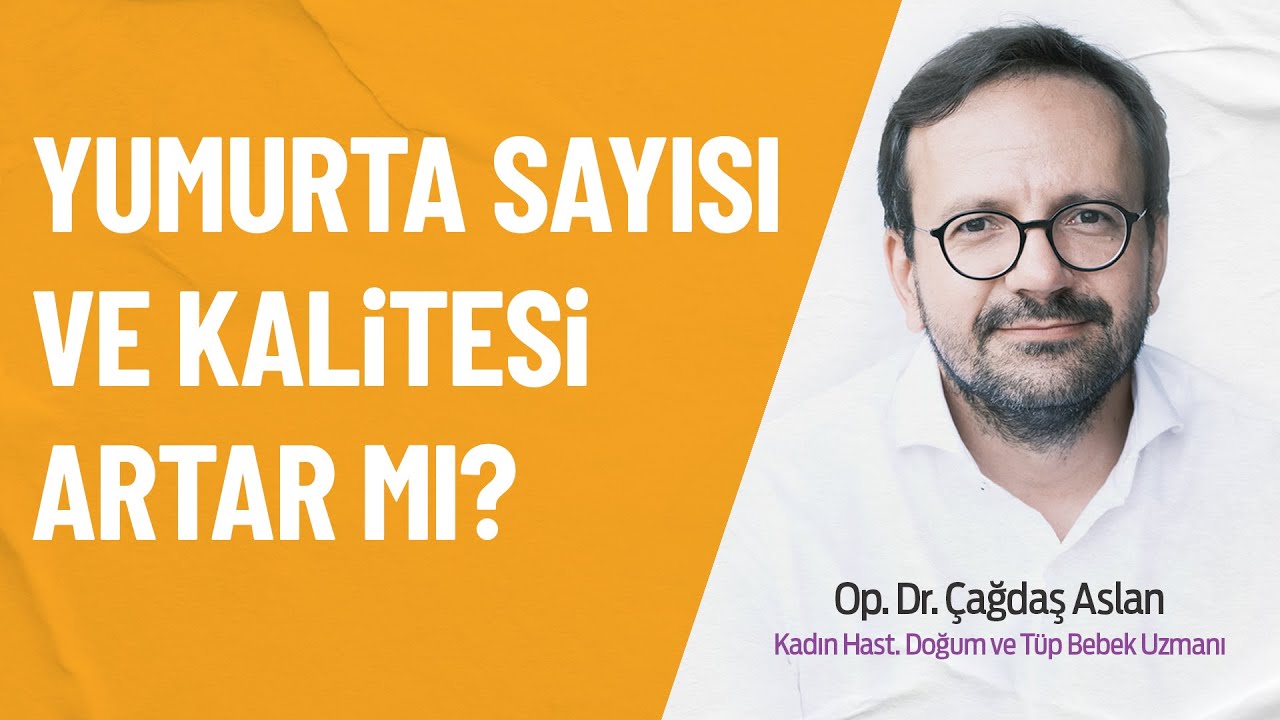 Yumurta Sayısı ve Kalitesi Artırılabilir mi?