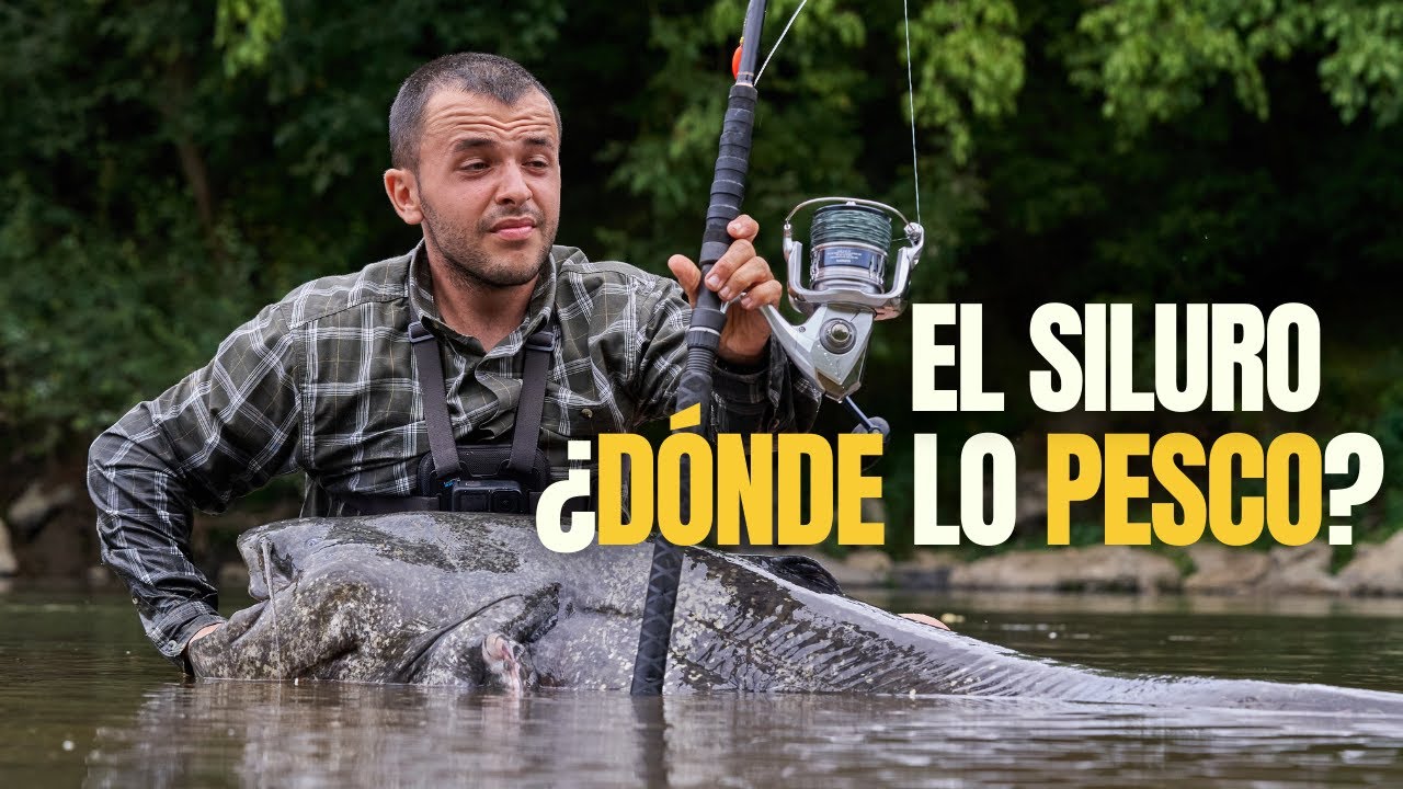 C&oacute;mo LOCALIZAR a los SILUROS - Ribera Fishing
