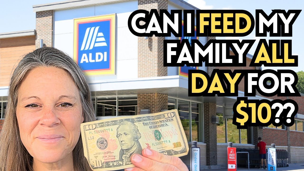HOW to FEED a FAMILY for ONLY $10 A DAY! 1 Day's Meal Plan & Grocery Haul!