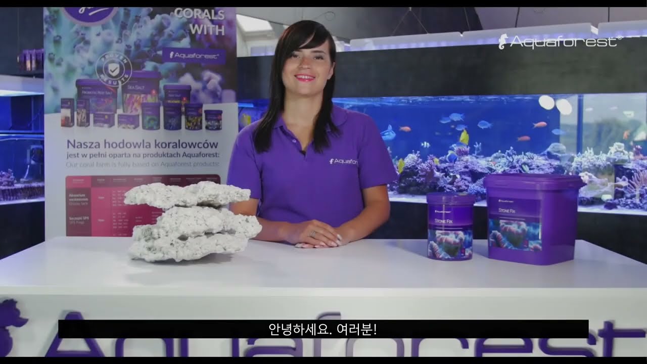 [AF] 스톤 픽스 아쿠아포레스트 사용법 Stone Fix Aquaforest video Guide