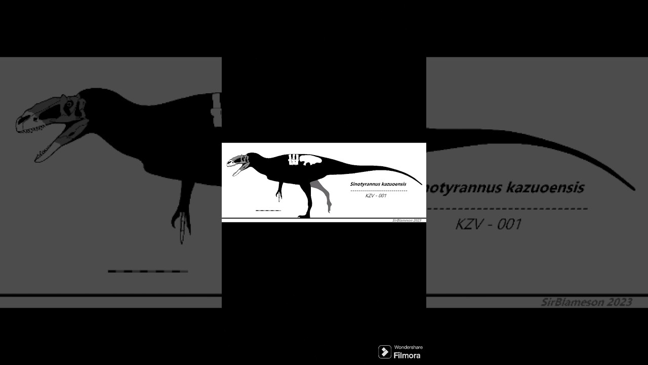 Conhe&ccedil;a SINOTYRANNUS, um tiranosauroide da china!