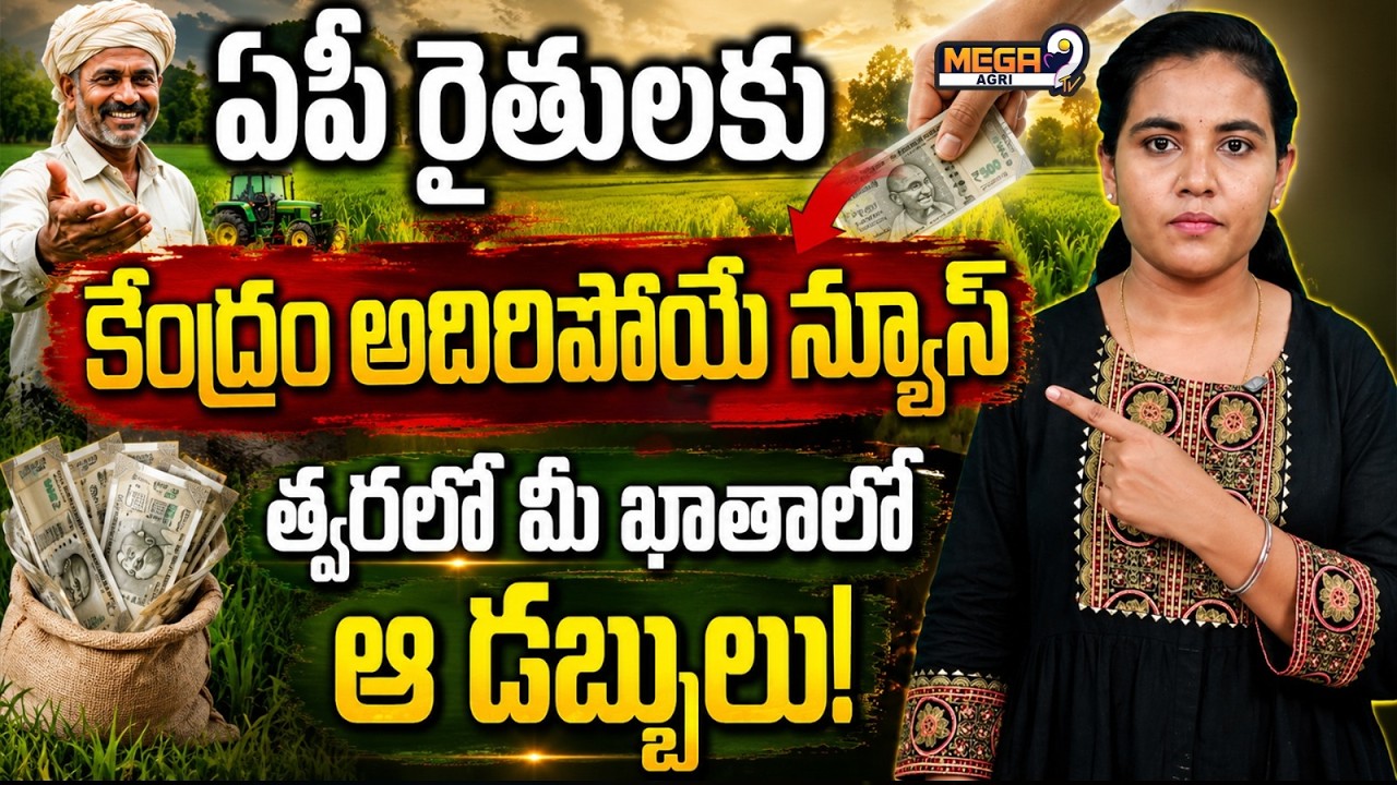 Big Relief for AP Farmers! Central Government to Credit Financial Assistance to Bank Accounts Soon