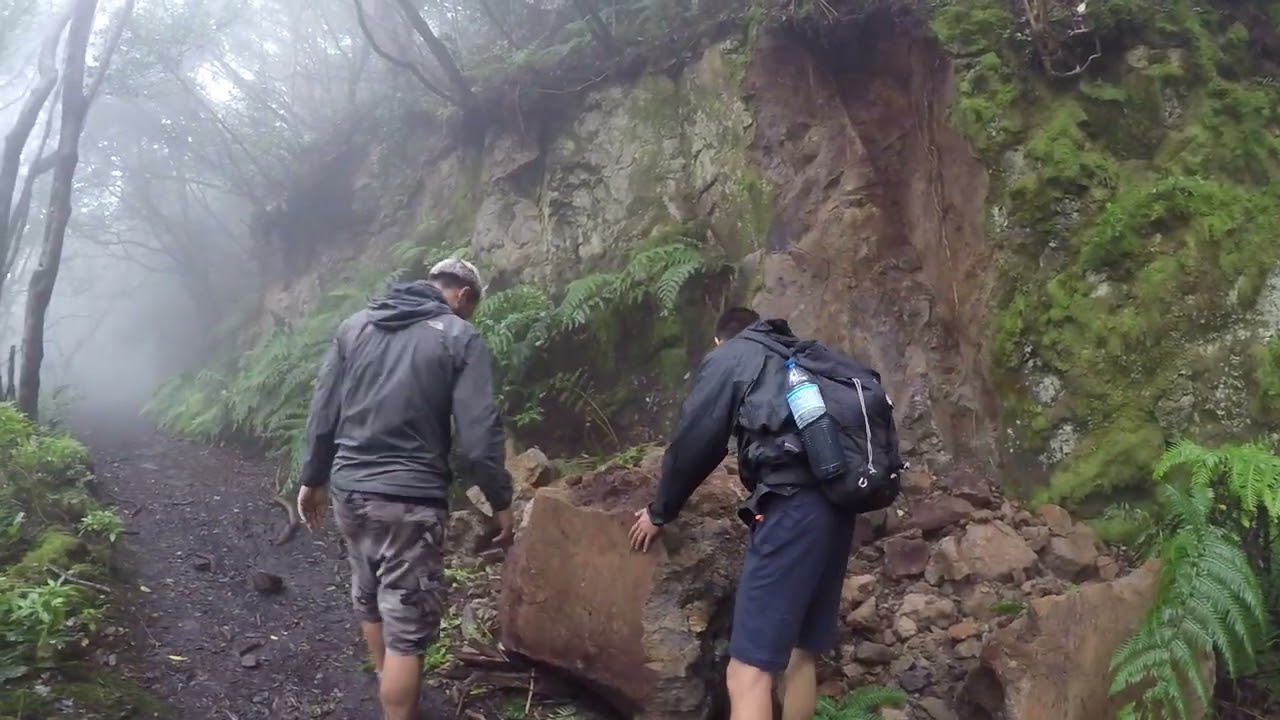 Bosque Encantado 5, El Pijaral - Tenerife Oct2022