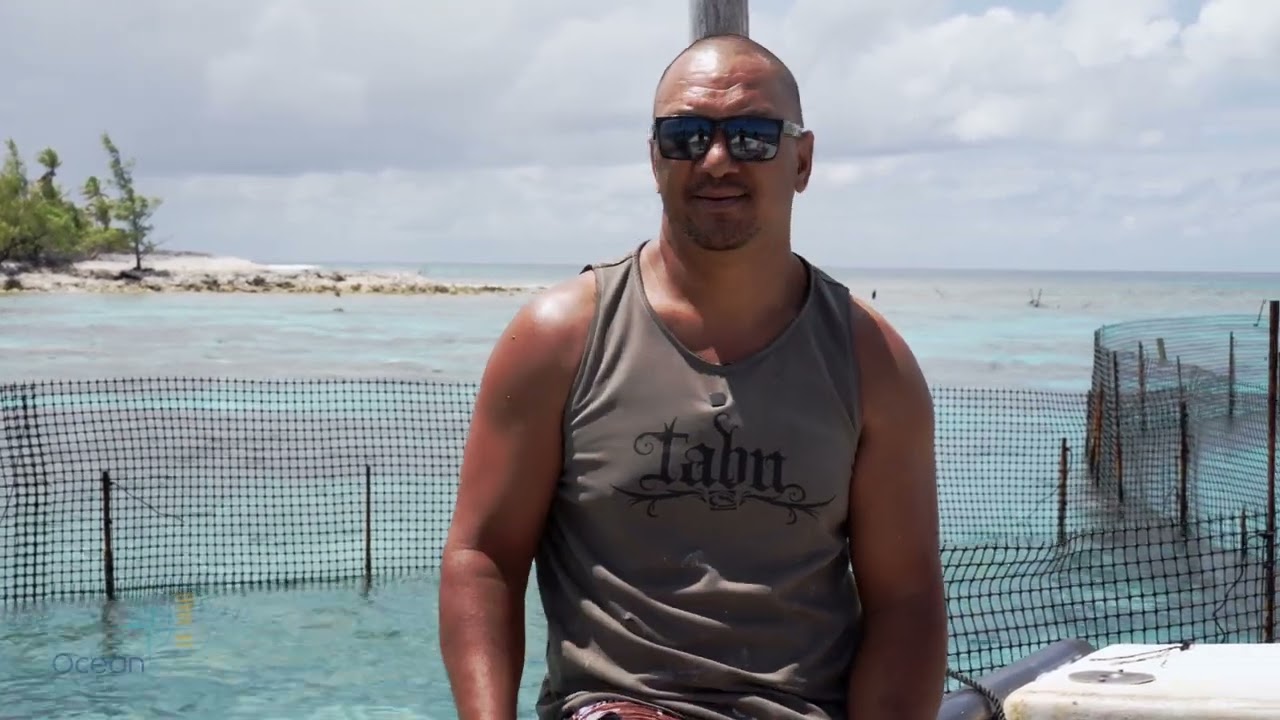 Kauehi et Raraka, l'héritage des parcs à poissons