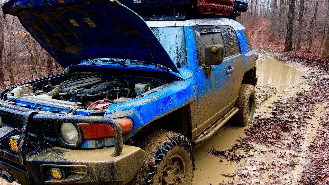 STUCK | 2024 | LBL |