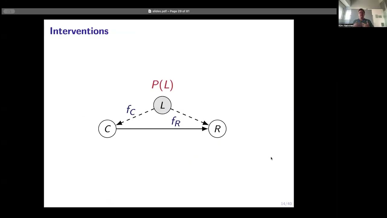 Online Identification of IT Systems through Active Causal Learning
