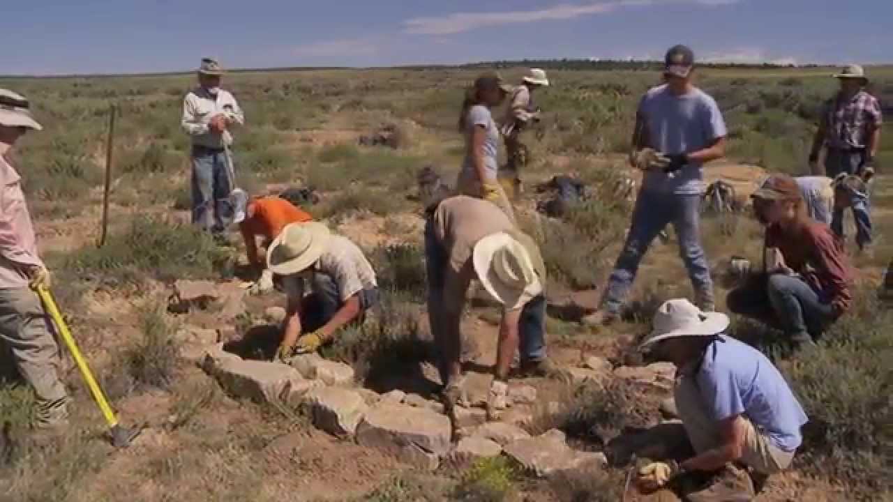 Erosion Control : Media Luna