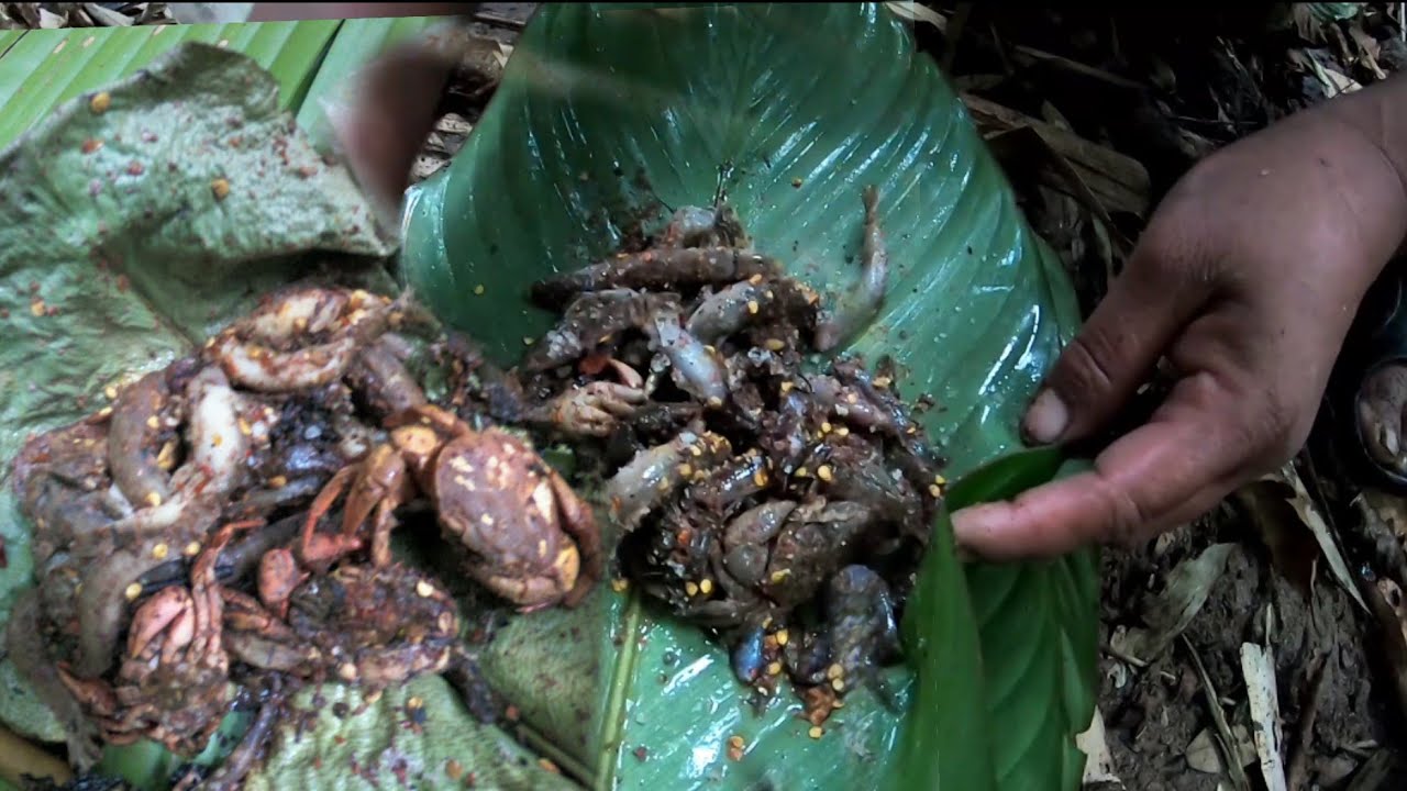 เขาป่าหาอาหารตามวิถีชีวิตดั้งเดิมของชาวอาข่า(AKHA NOI)