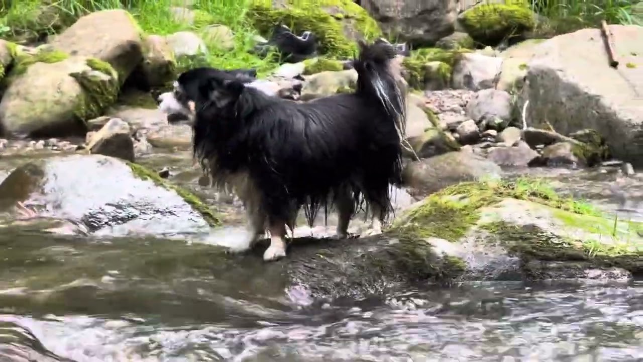 How to Overcome Fear