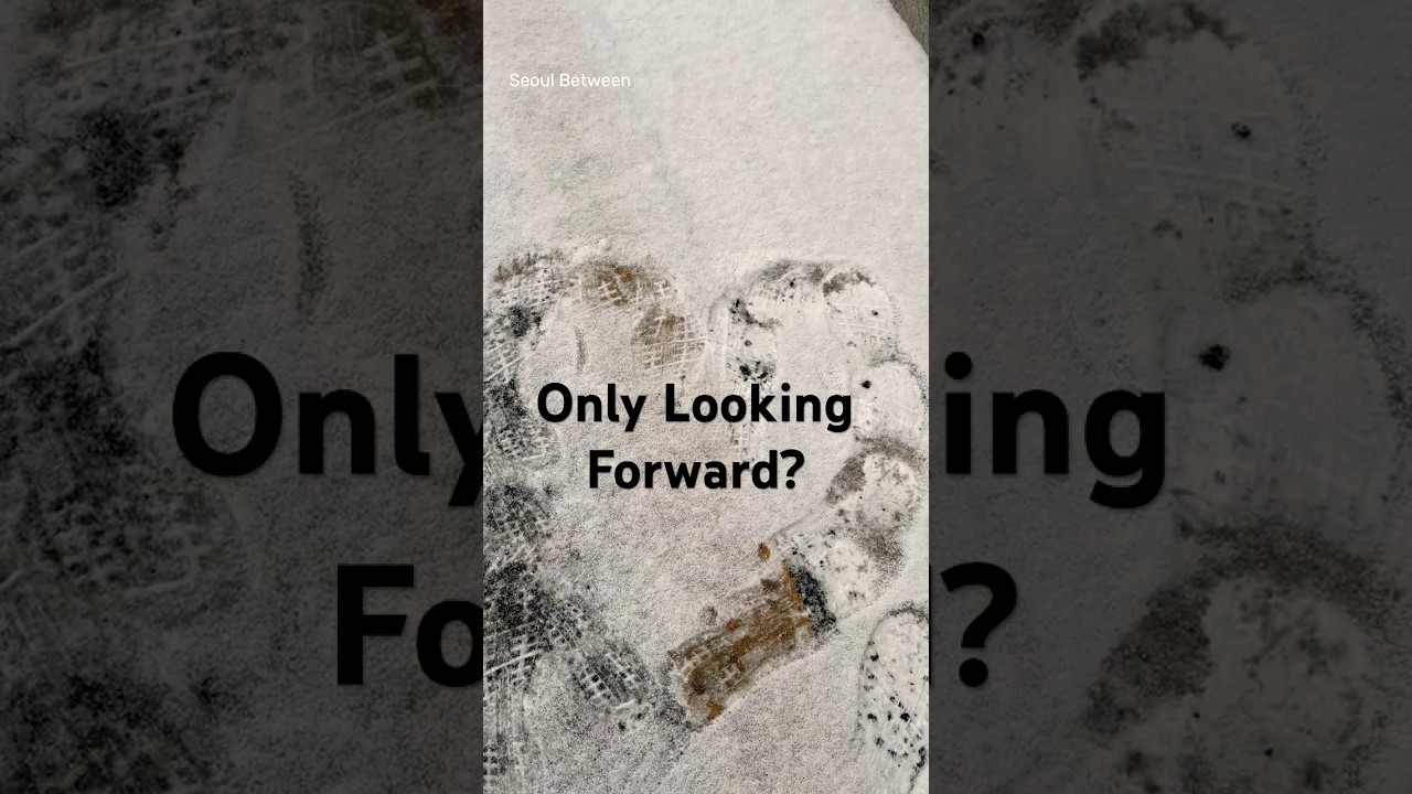 Snow Falls .Are You Only Looking Ahead? |Apakah kamu hanya melihat ke depan?