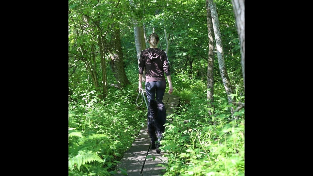 Jag är ute på en ny promenad | vlogg