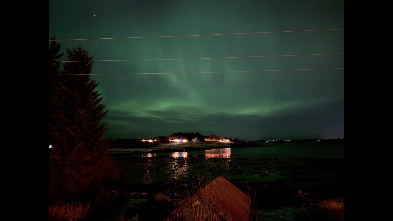 LIVE/  NOWY ROK STARA JA