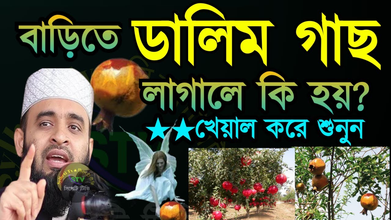✅বাড়ীতে ডালিম গাছ লাগালে কি হয় গেনে নিন মিজানুর রহমান আজহারী=Dec 3020257:05 AM