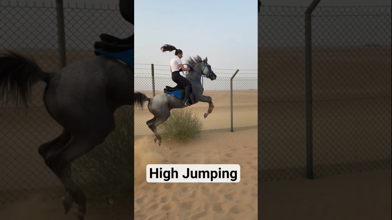 High Jumping 