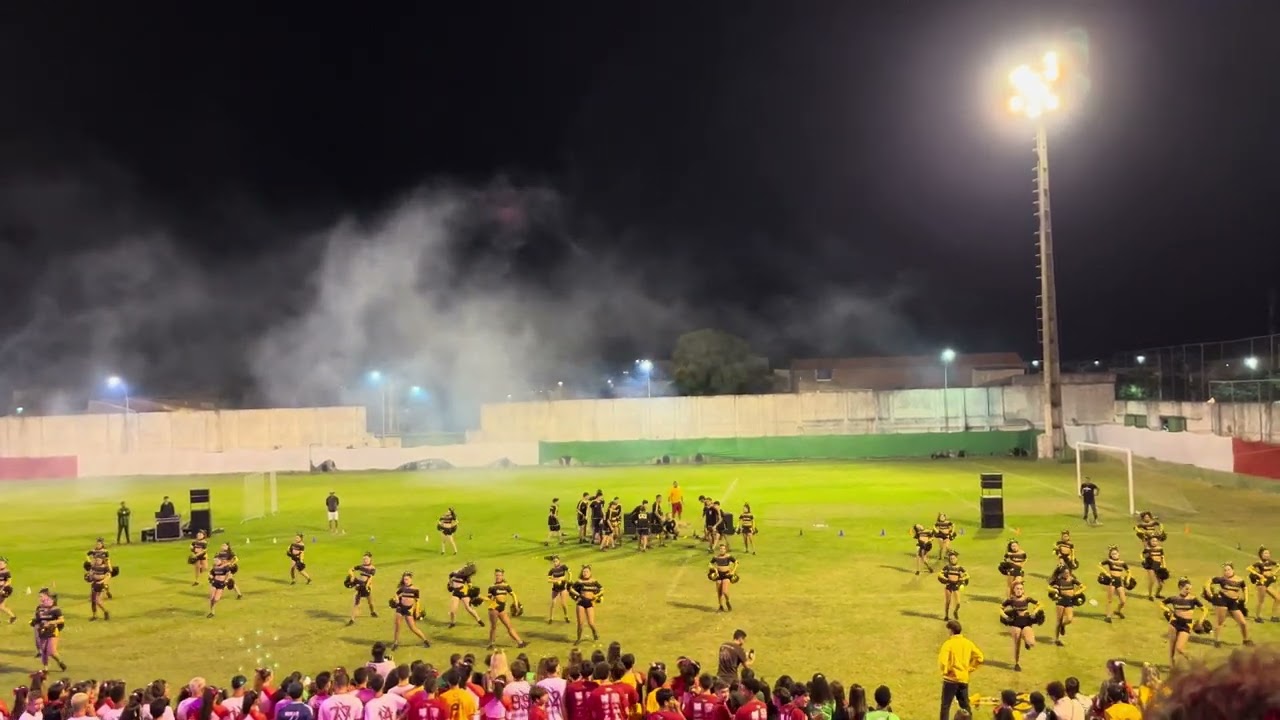 Líder de Torcida, Amarela, Canto dos Pássaros 2024