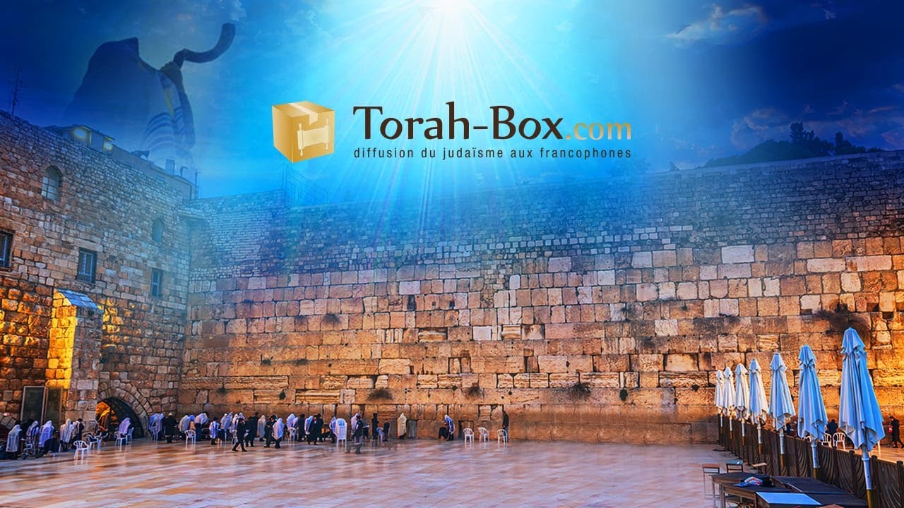 EN DIRECT DU KOTEL 🛑 JÉRUSALEM - LES DERNIERS INSTANTS DE TICHA BEAV