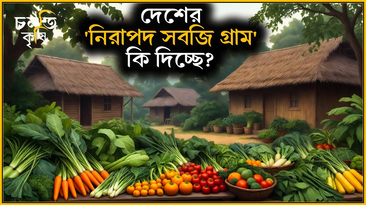 'সেক্স ফেরোমন' পাল্টে দিল গ্রামটাকে? | চলতি কৃষি