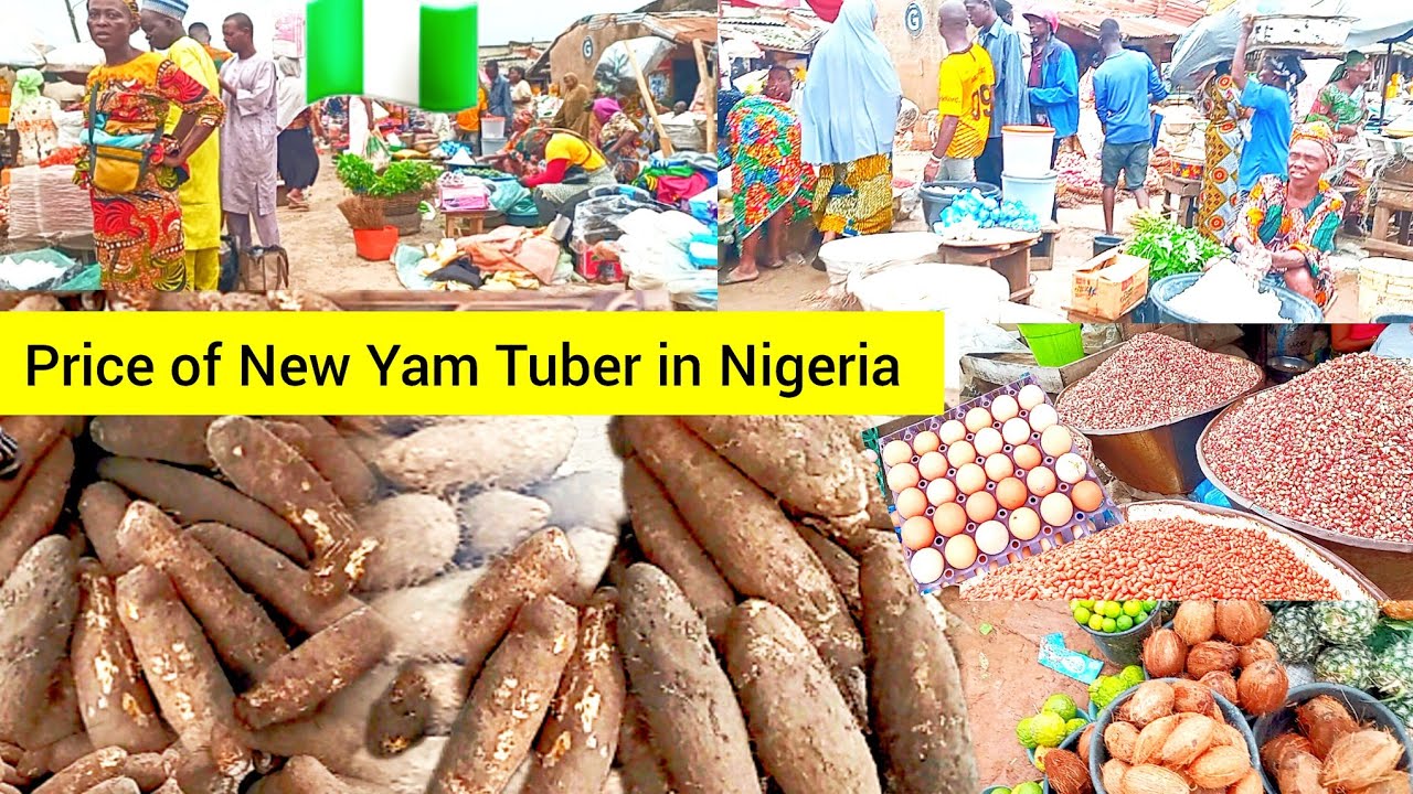 PRICE OF NEW TUBERS OF YAM, What $200 can BUY in NIGERIA 2024 || Cost living in WEST AFRICA