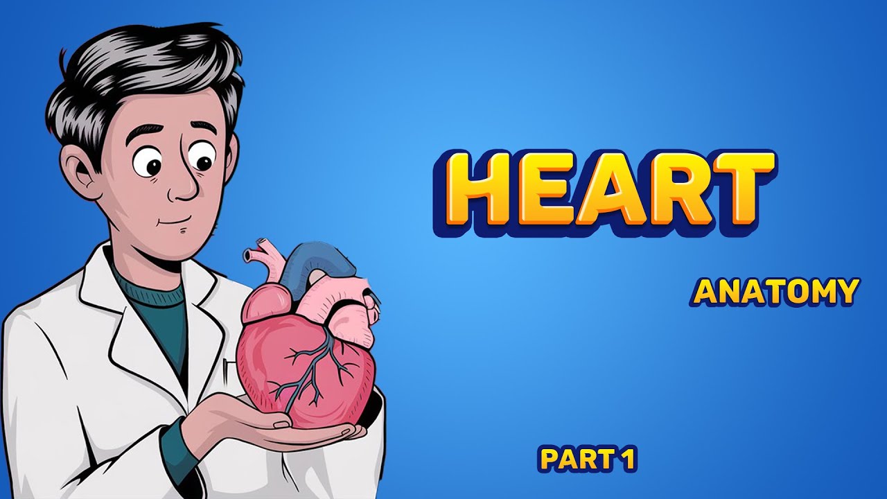 Anatomy of Heart: What's REALLY Happening Inside Your Heart? (part1)