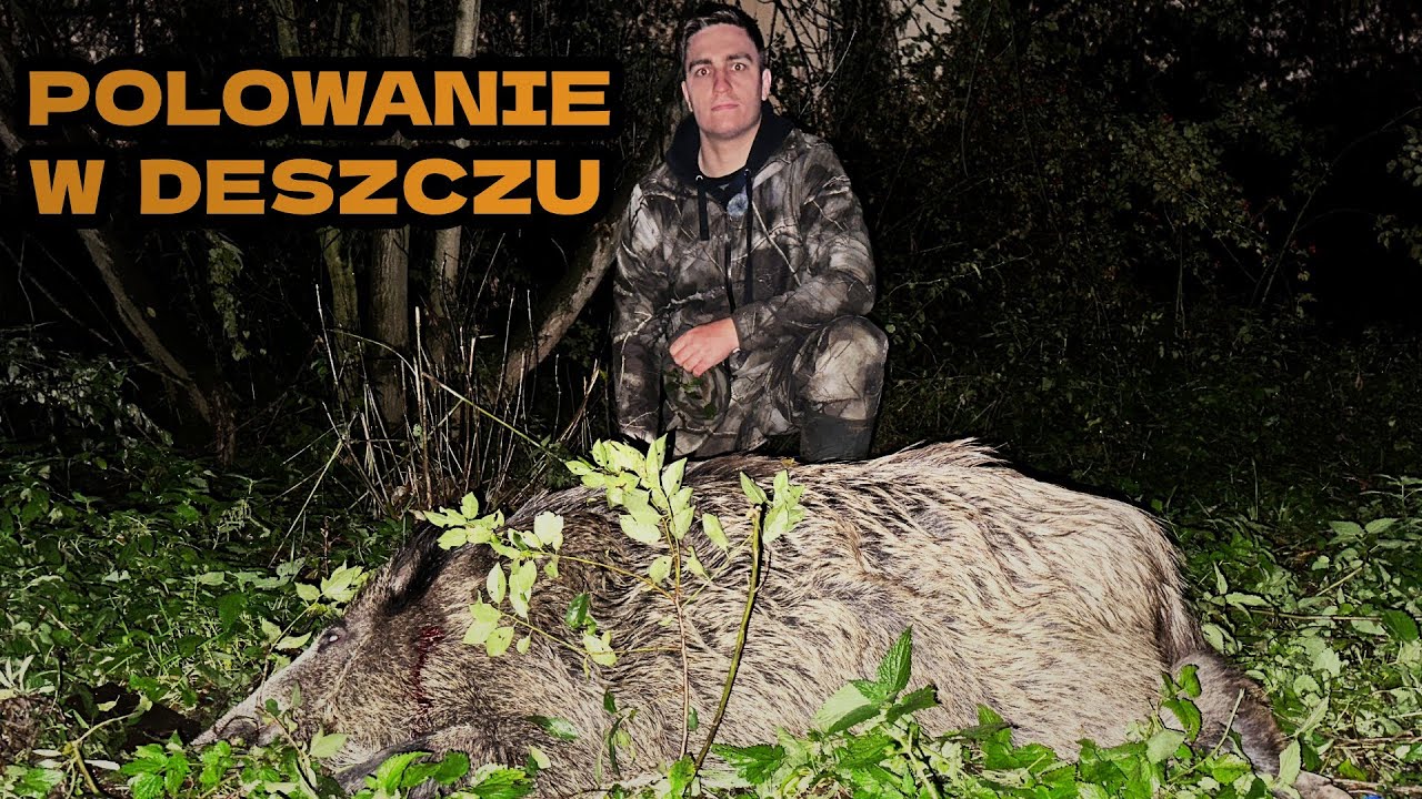 Gdy Noktowizja Zawodzi – Polowanie W Nocy Na Dziki I Lisy