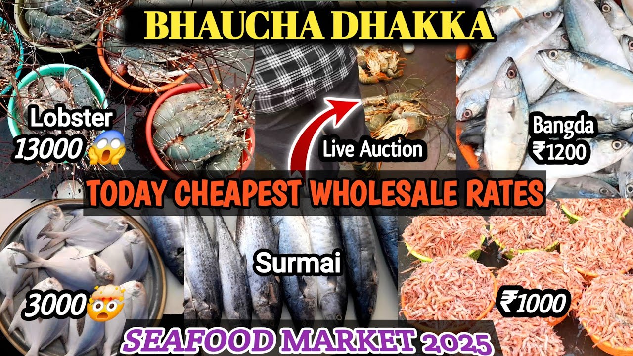 Bhaucha Dhakka Wholesale Fish Market 2025 | Today&rsquo;s Cheapest Seafood Prices in Mumbai & Market Tour