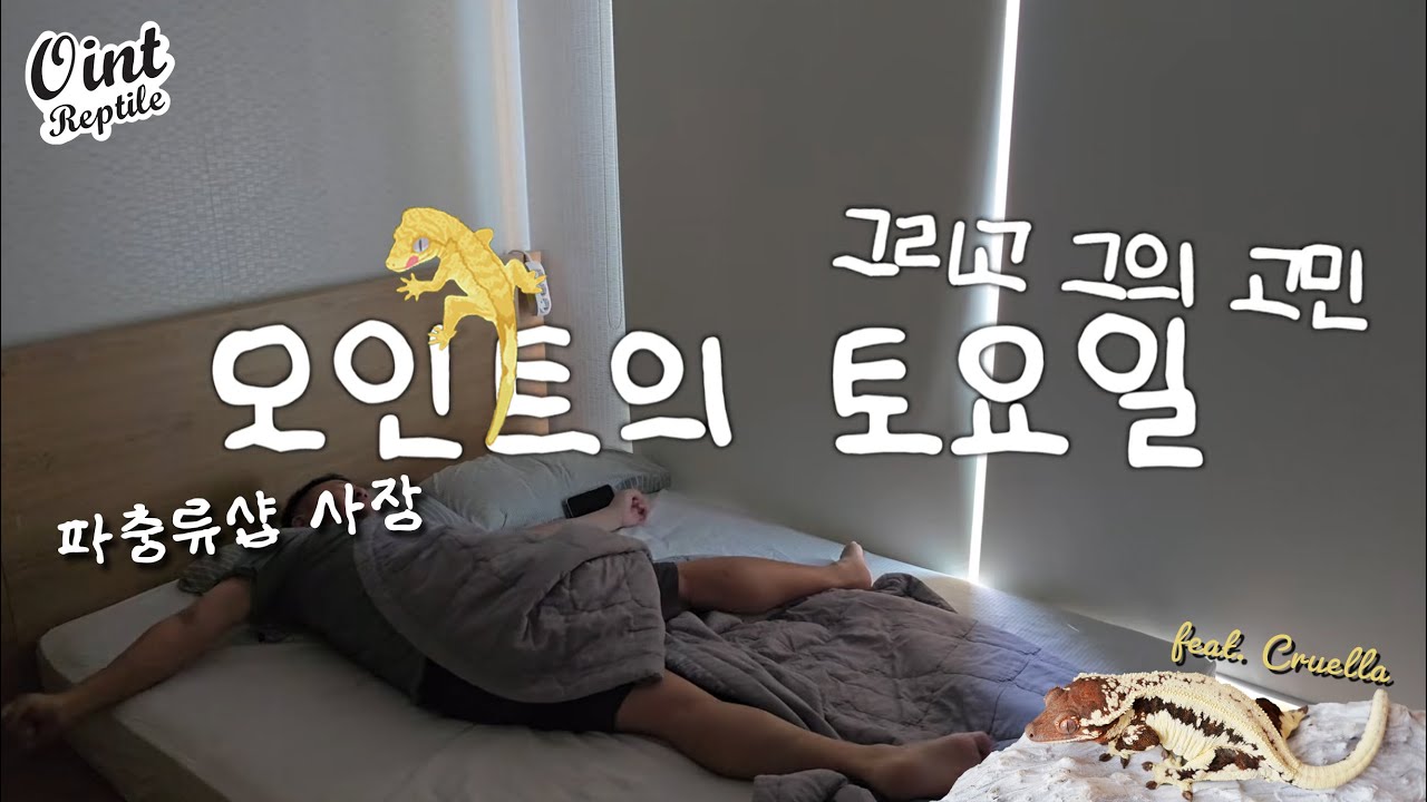 [Ointlog] 파충류샵 사장님의 vlog | 오인트의 토요일, 그의 고민