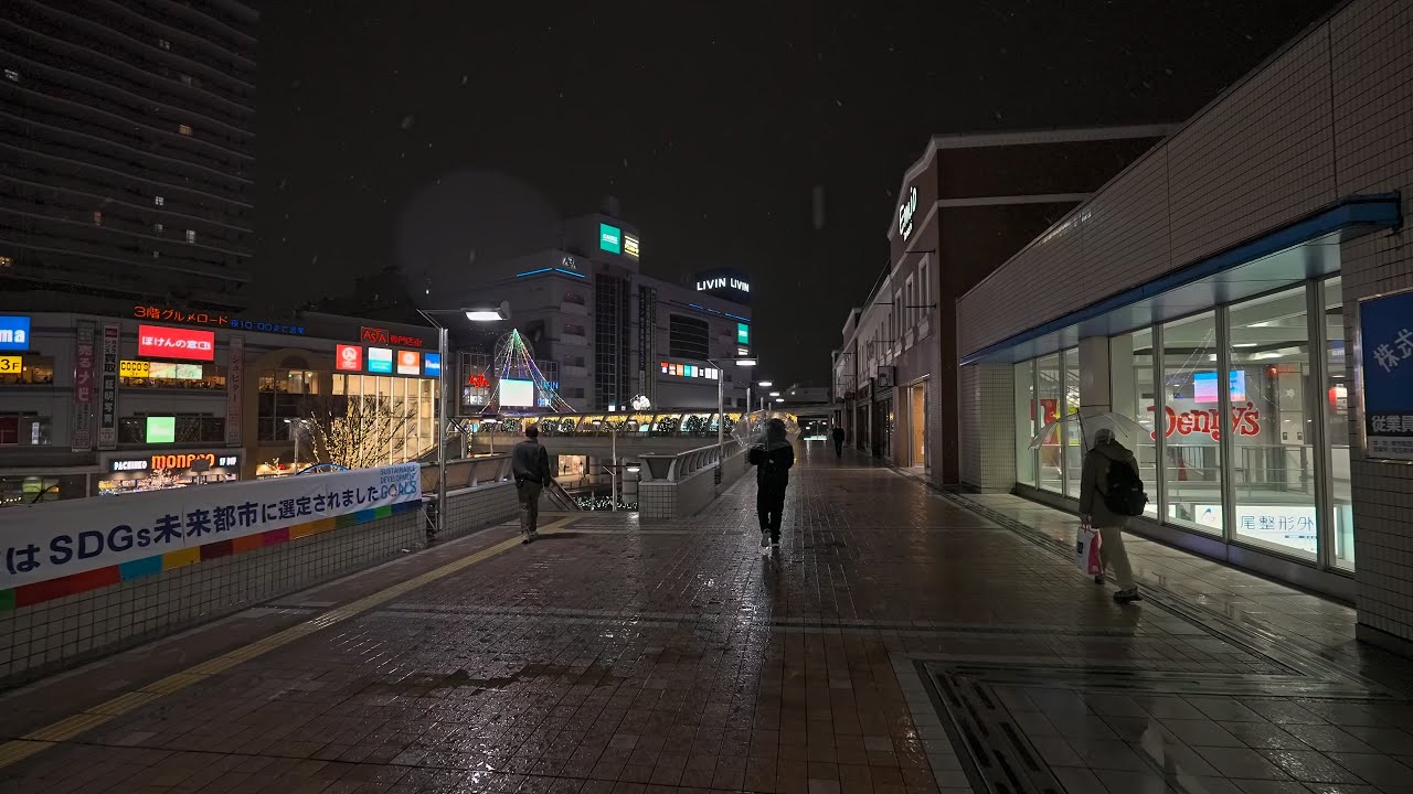 Tokyo snowfall 2026