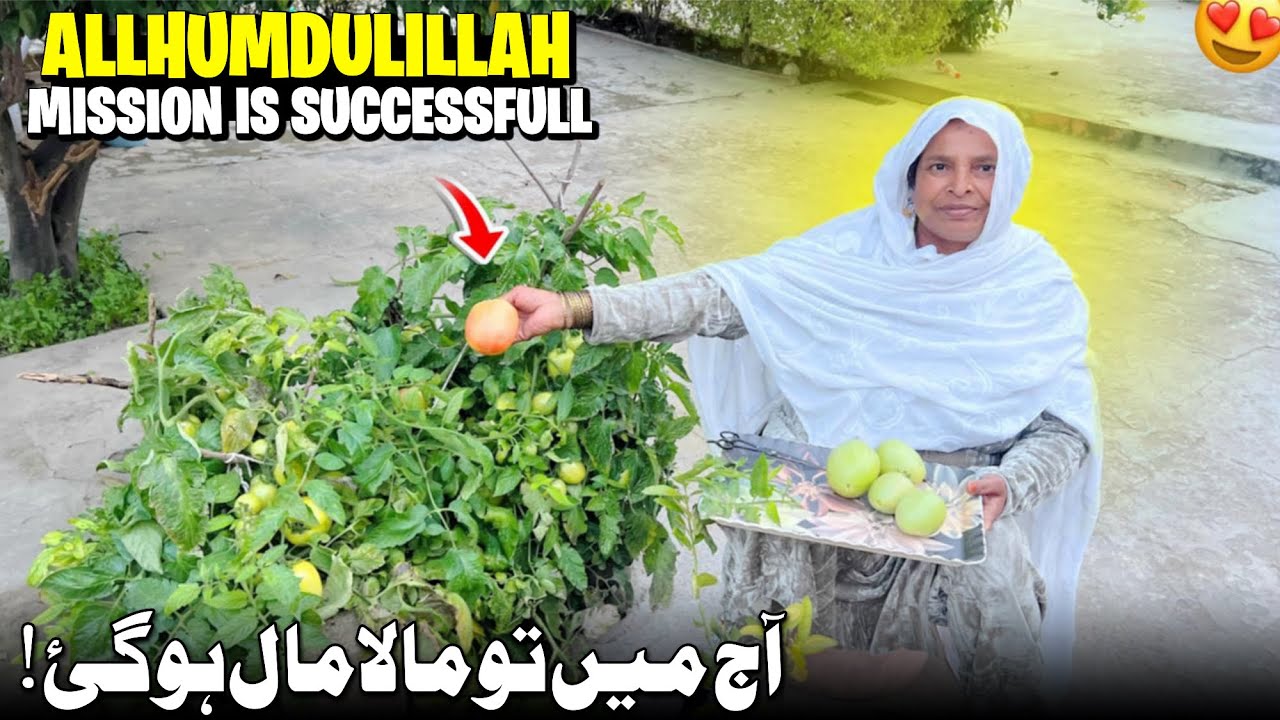 Allhumdulillah! Mission Successful 😍 Aj Mera Mission Successful Hogya | Humare Ami Abu