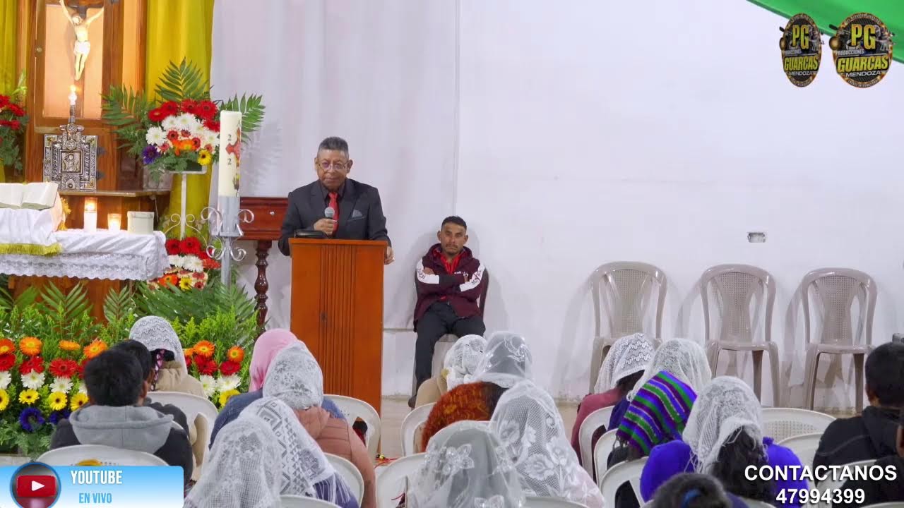 TRANSMISONE EN VIVO