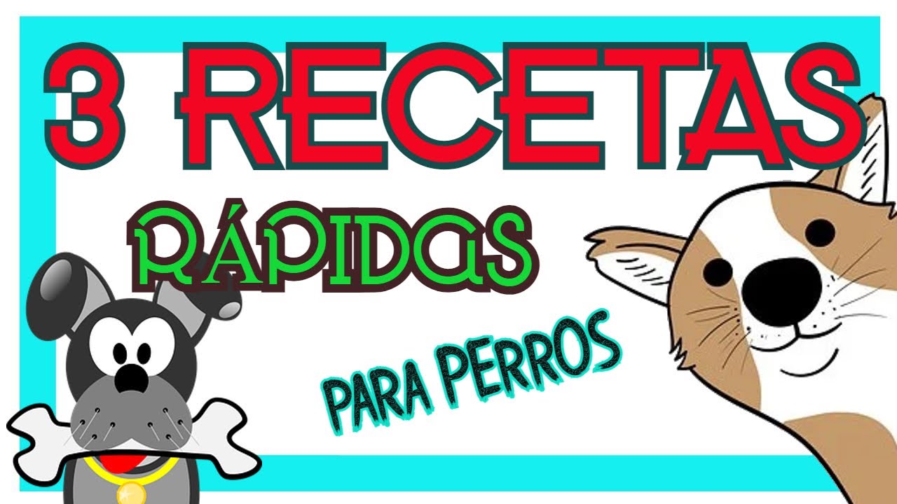 🥩 RECETAS de COMIDA CASERA para PERROS!!!! 🥗