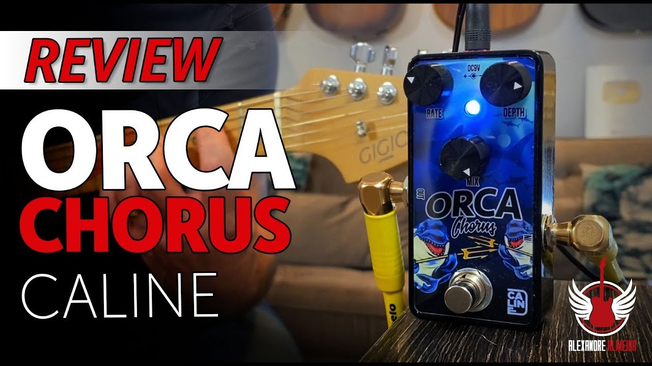 Orca Chorus Caline (Review + Dicas)
