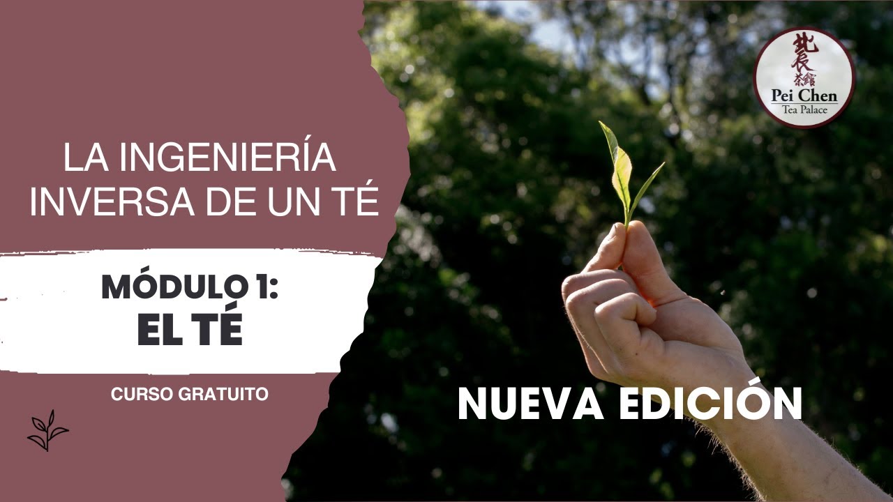 NUEVA EDICIÓN - Curso Gratuito Ingeniería Inversa del Té   Módulo 1 El Té