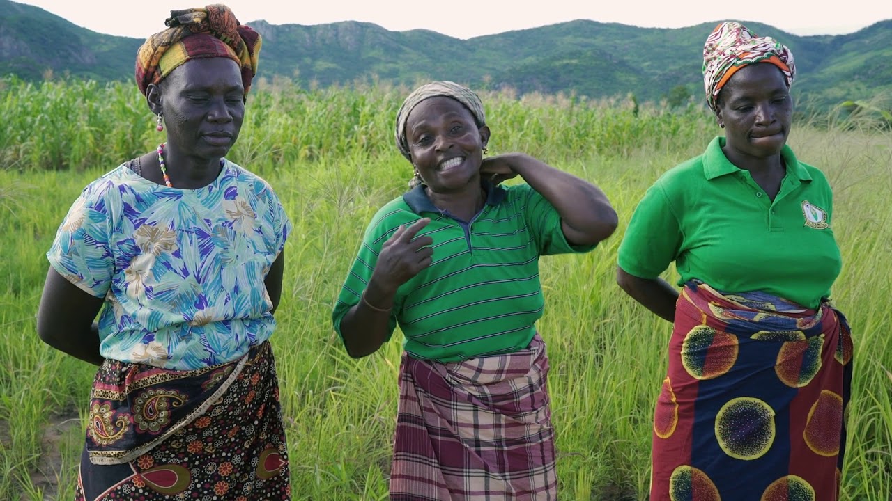 7- “Ter machamba é um direito humano!”