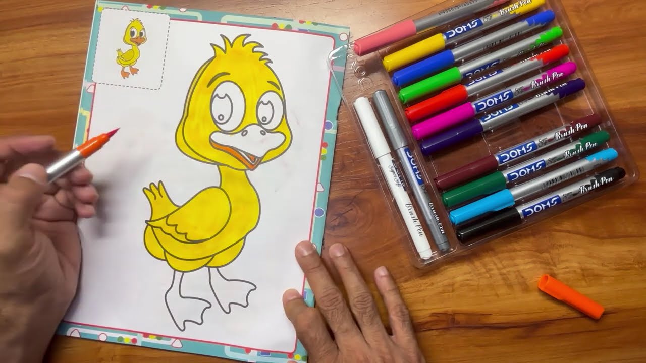 How to color a duck