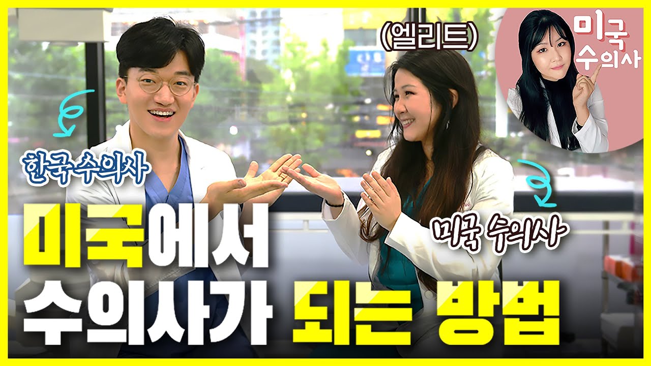 미국에서 수의사가 되는 방법 | 벳터뷰 EP.04-1