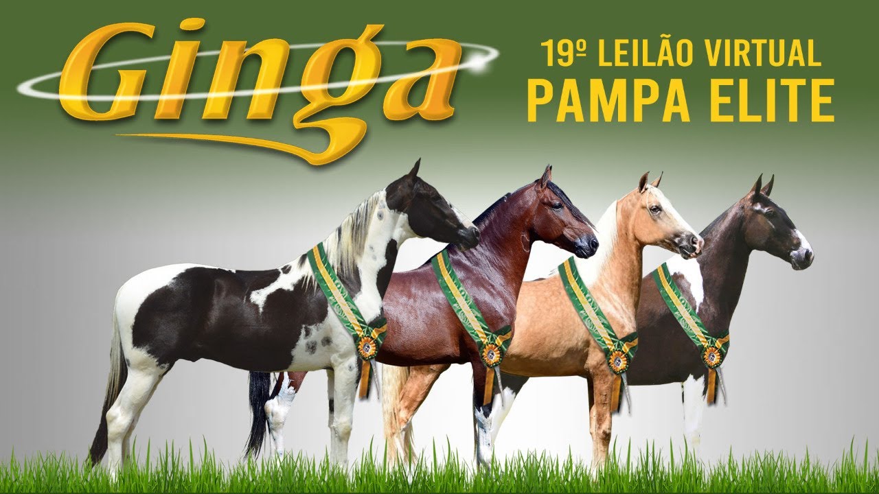 19º LEILÃO VIRTUAL PAMPA ELITE GINGA