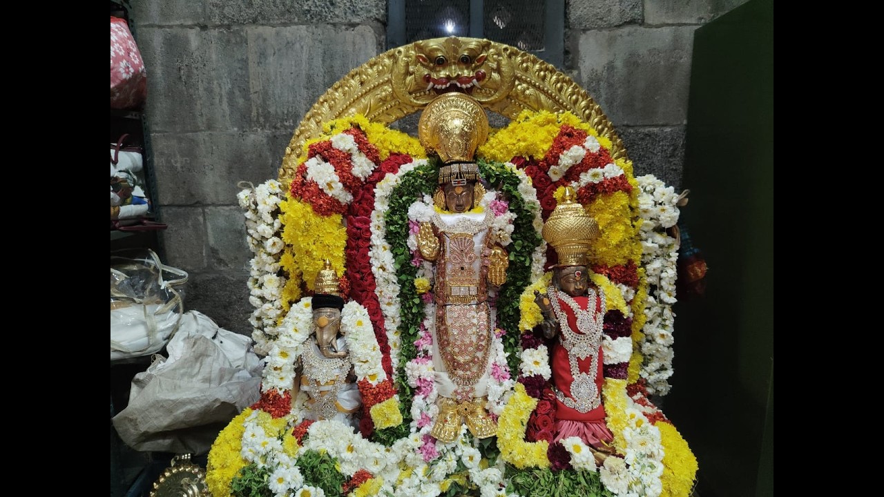 LIVE  மகா சிவராத்திரி சுவாமி வீதி உலா அருள்மிகு சுரகரேஸ்வரர் திருக்கோயில் காஞ்சிபுரம் 16.02.26