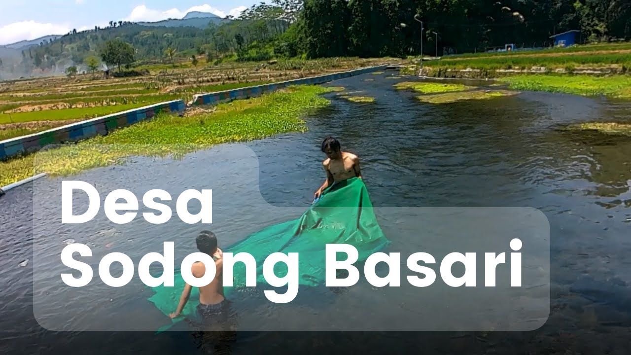 TELAGA BIRU SODONG MATA AIR SEBENING KACA DI PEMALANG