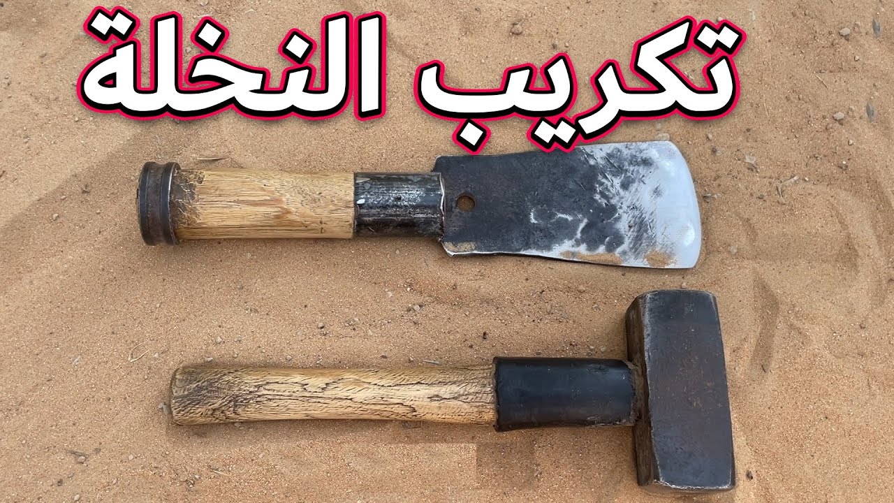 🔵 طريقة تكريب وتنظيف النخل #datetrees #palmtrees #نخل #النخلة