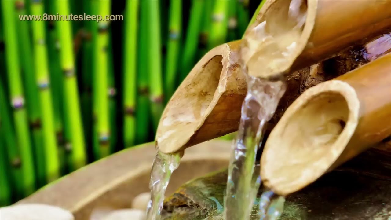 WATER FOUNTAIN   BAMBOO Relax & Get Your Zen On   White Noise SLEEP WELL enjoy the moment read book