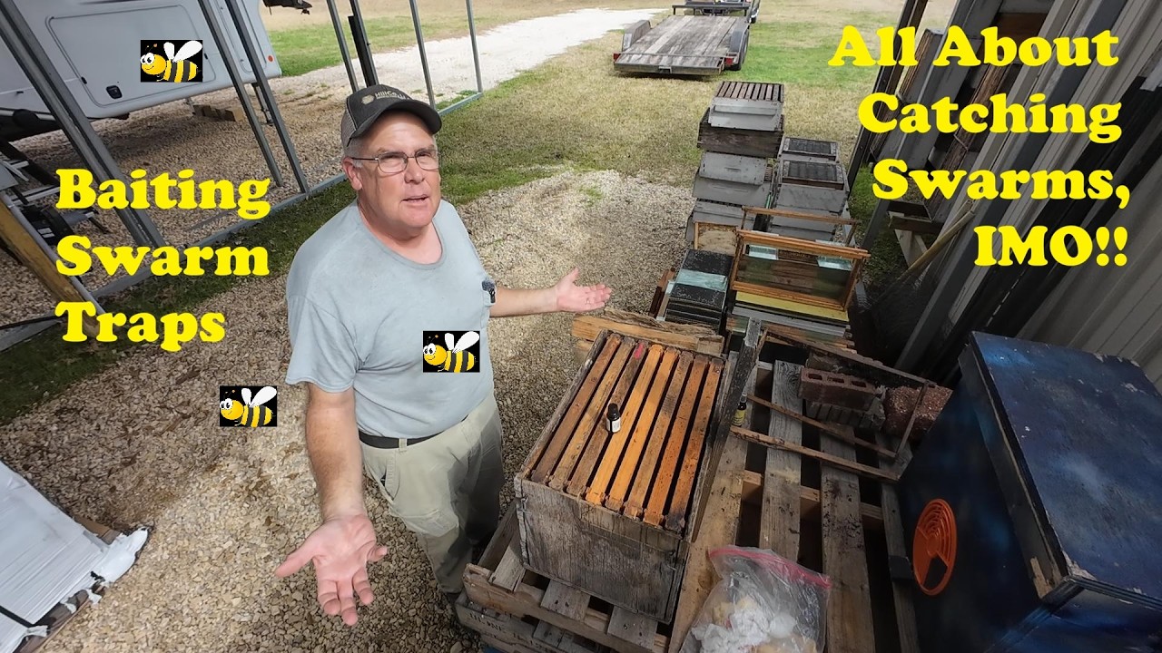 Honeybee Swarm Trapping | How I Catch Bees | Bee Bait