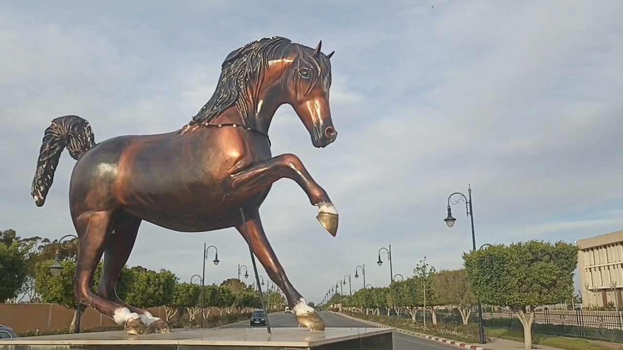 جولة في مدينة جرسيف الجميلة 🌺