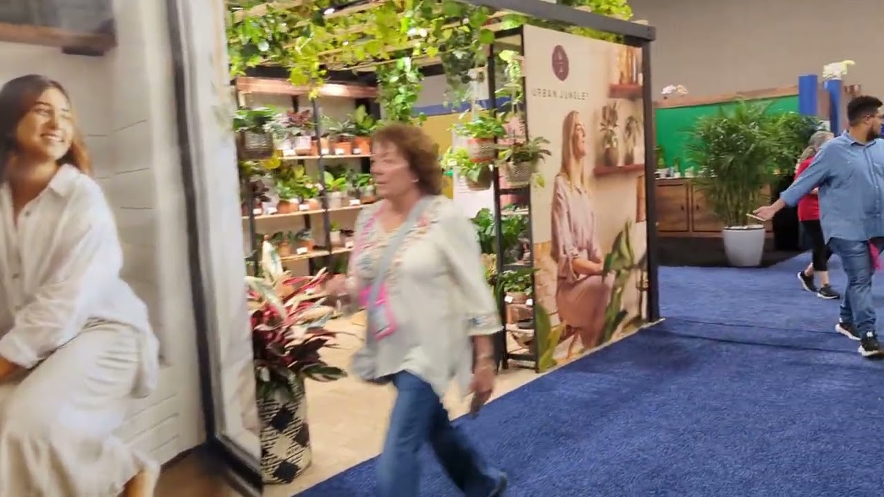 Walk through  of TPIE January 2024
