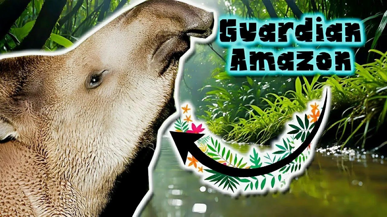 Tapir Amaz&oacute;nico | Documental de Animales