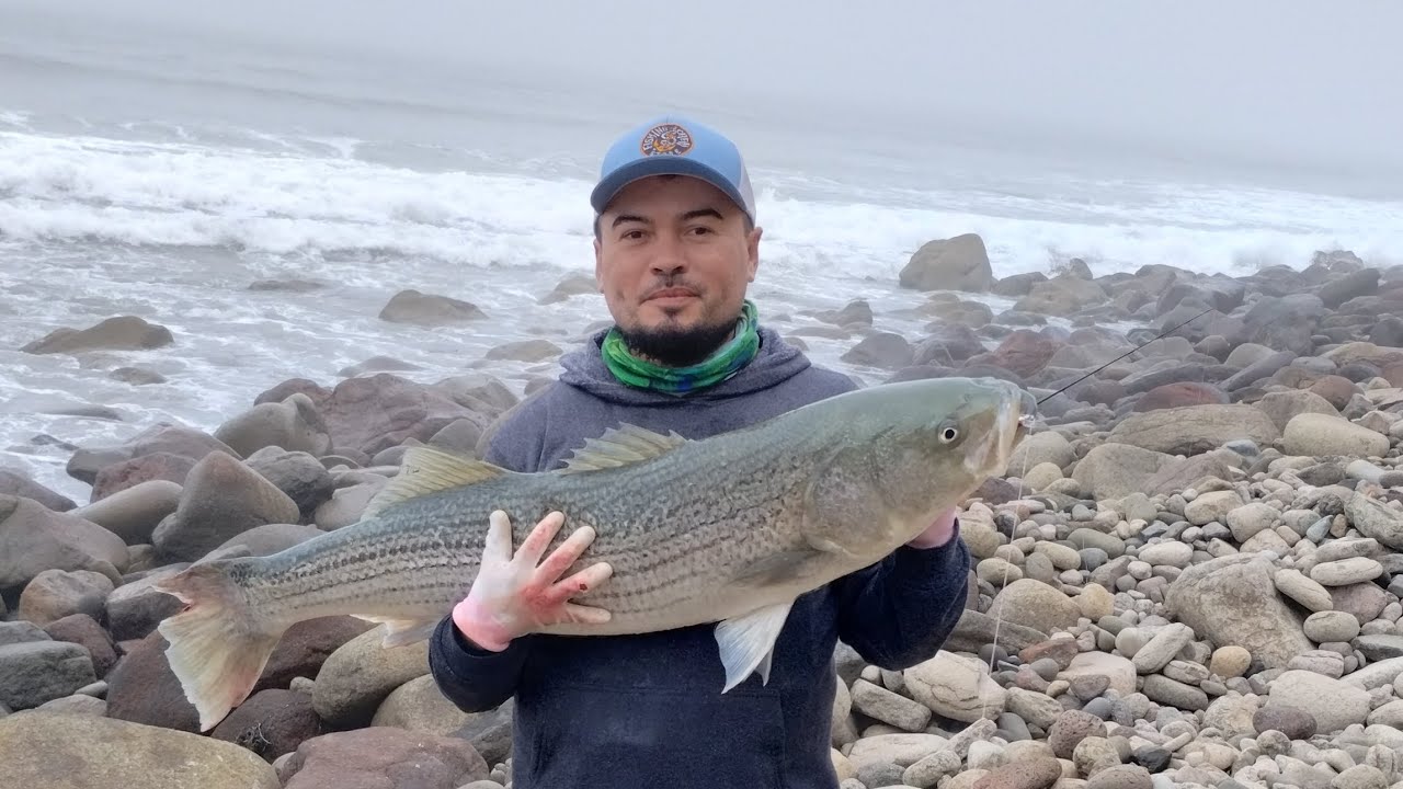 el mejor record de captura de striped bass 11 kilos 600 gramos en Ensenada bajá California.