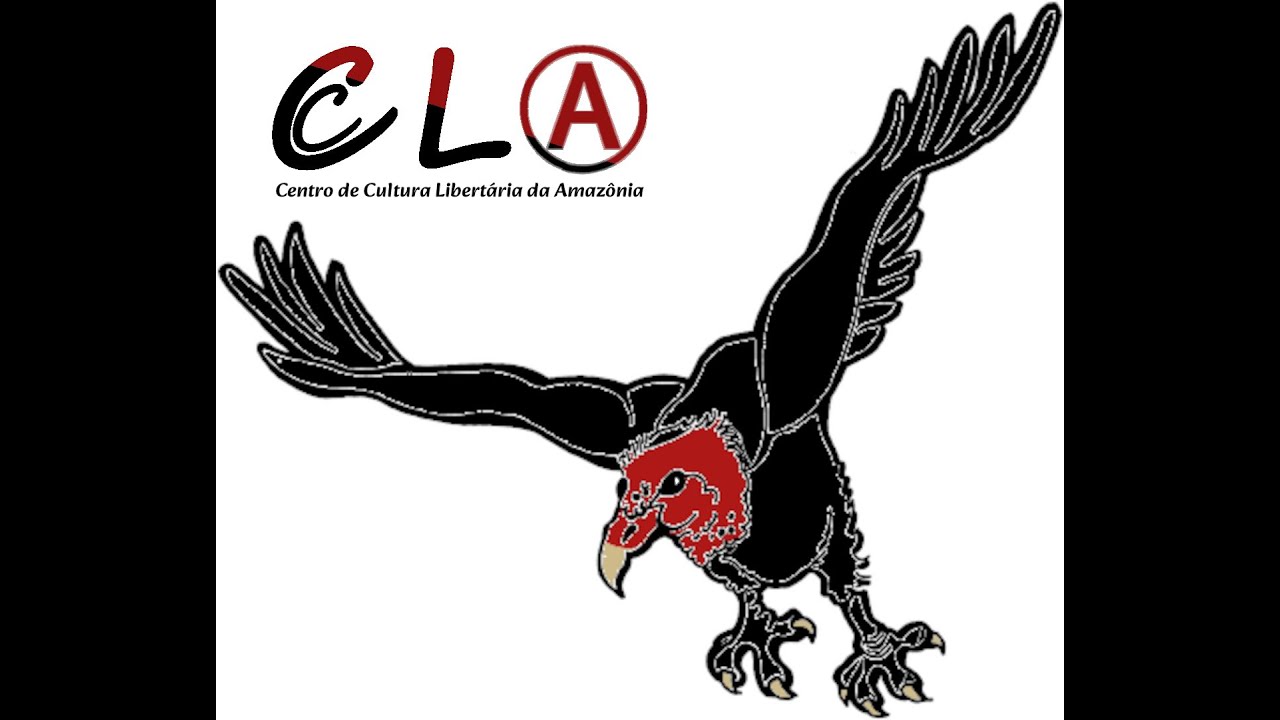 A Solu&ccedil;&atilde;o sem Estado - Di&aacute;logo entre anarquistas (Mohammed Bamyeh - Palestina e Uri Gordon - Israel)